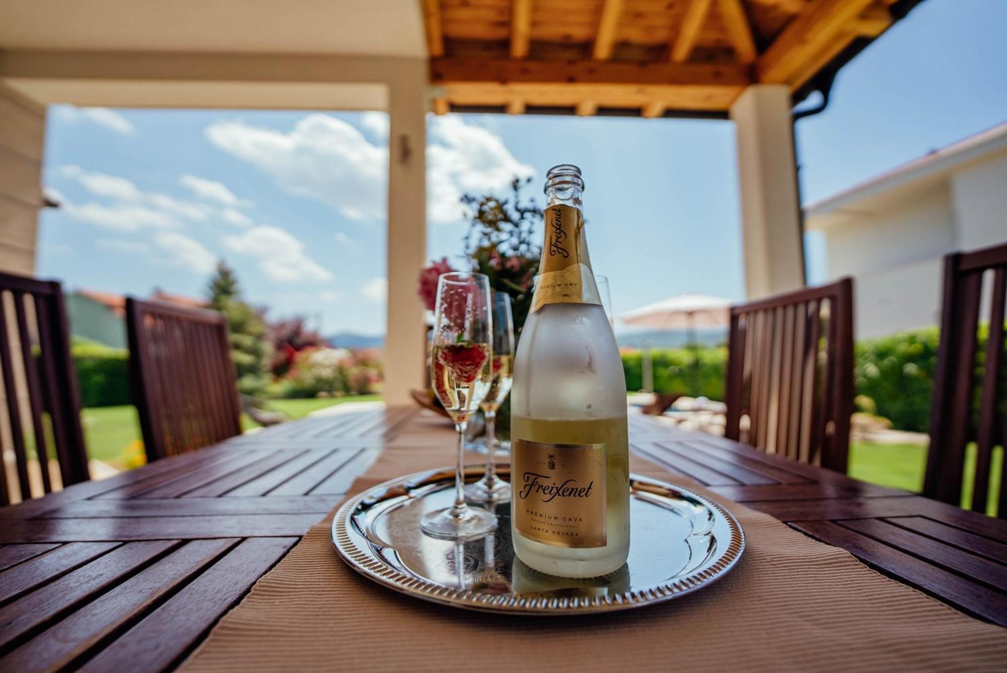 Villa Latica Donji Prolozac Экстерьер фото