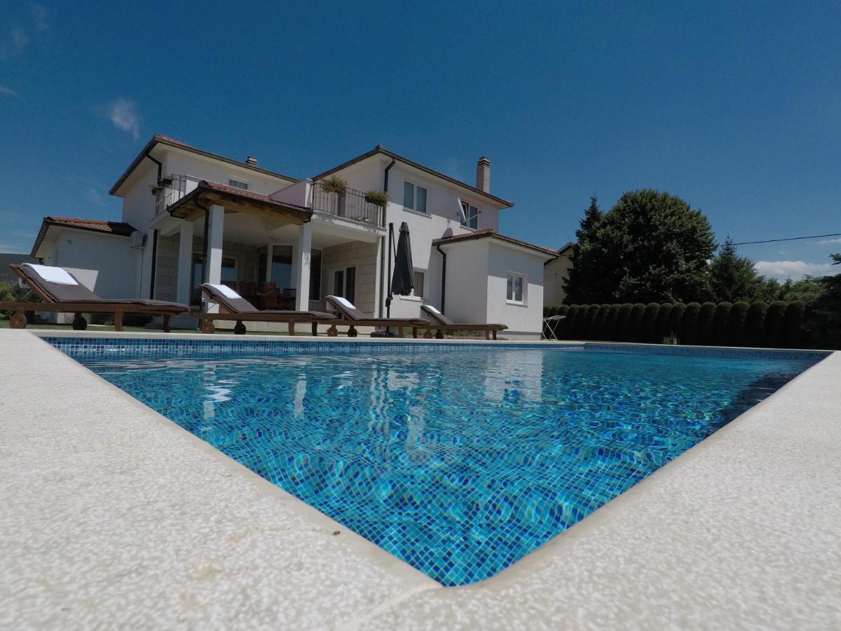 Villa Latica Donji Prolozac Экстерьер фото